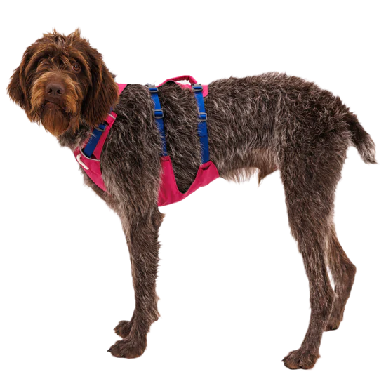 Ruffwear Flagline Harness | Dog.Dog.Cat.