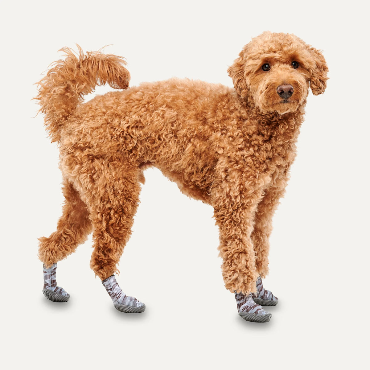 gooeez Dog Boots XXL 4足入り　新品 Goo-eez Trendz Camo Dog Boots - Waterproof (Sold in Pairs)