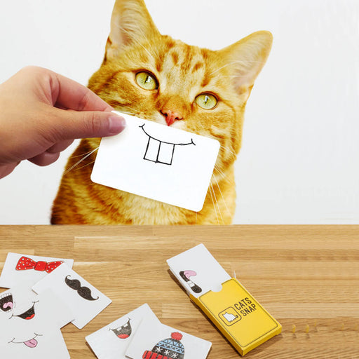 Cat Snap Cards