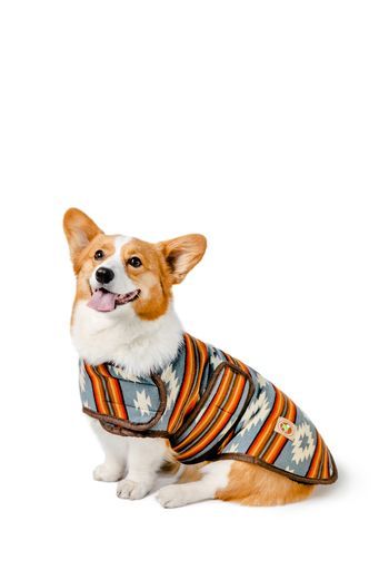 Chilly Dog Dog Blanket Coat t