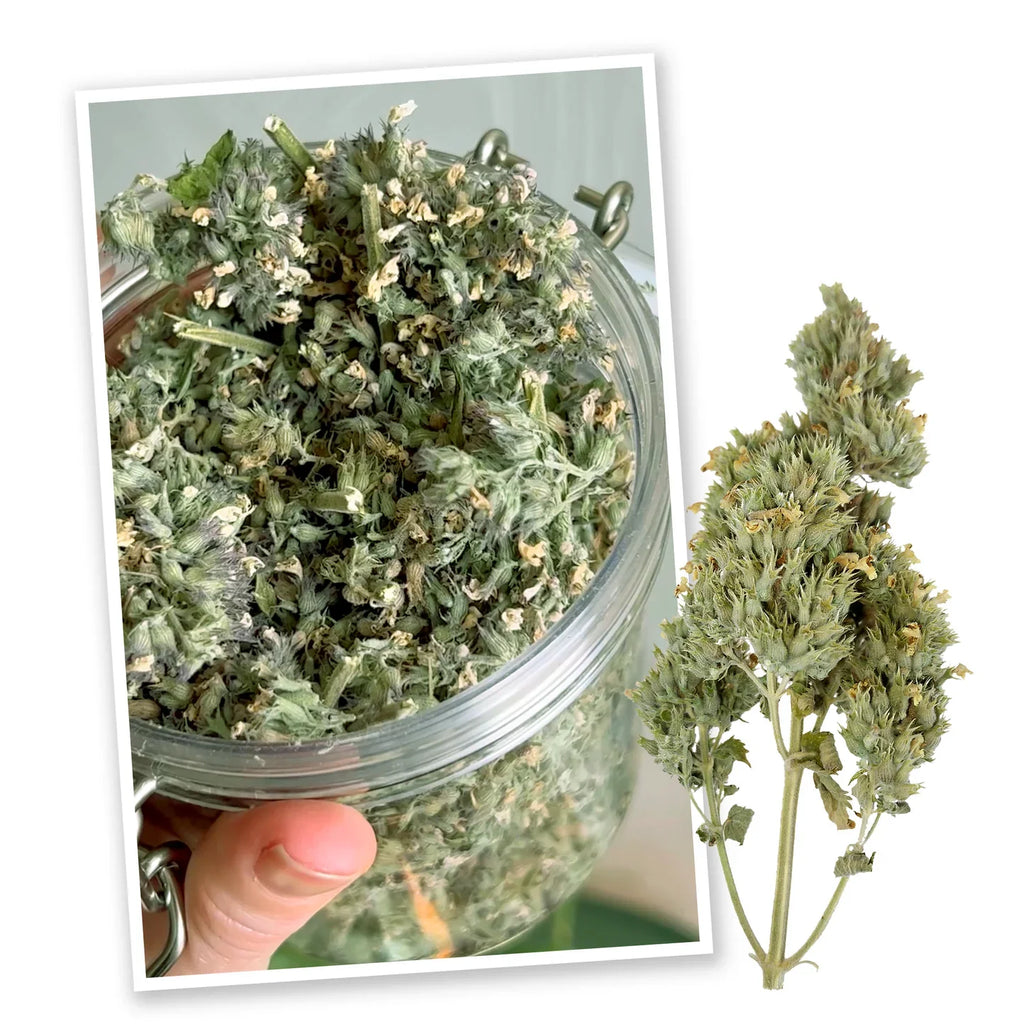 Catnip - Our Dispensary for Cats