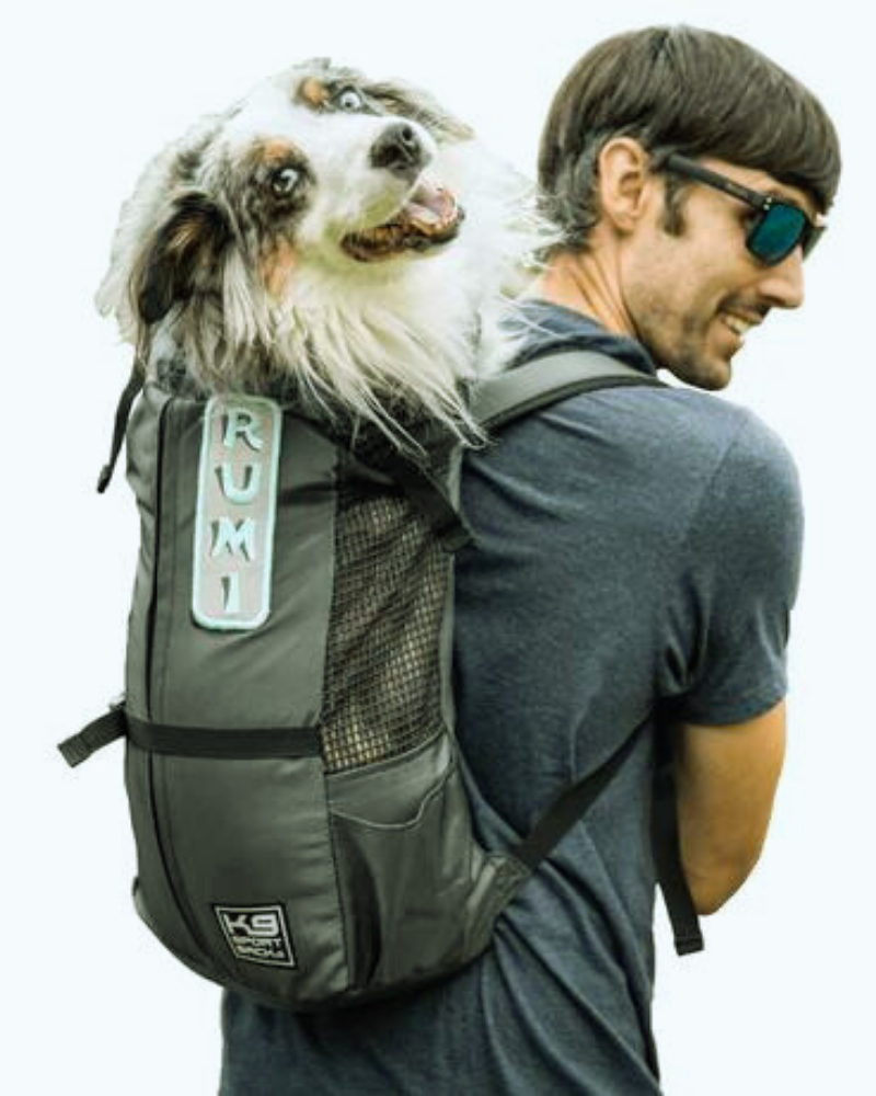 Pet Carriers