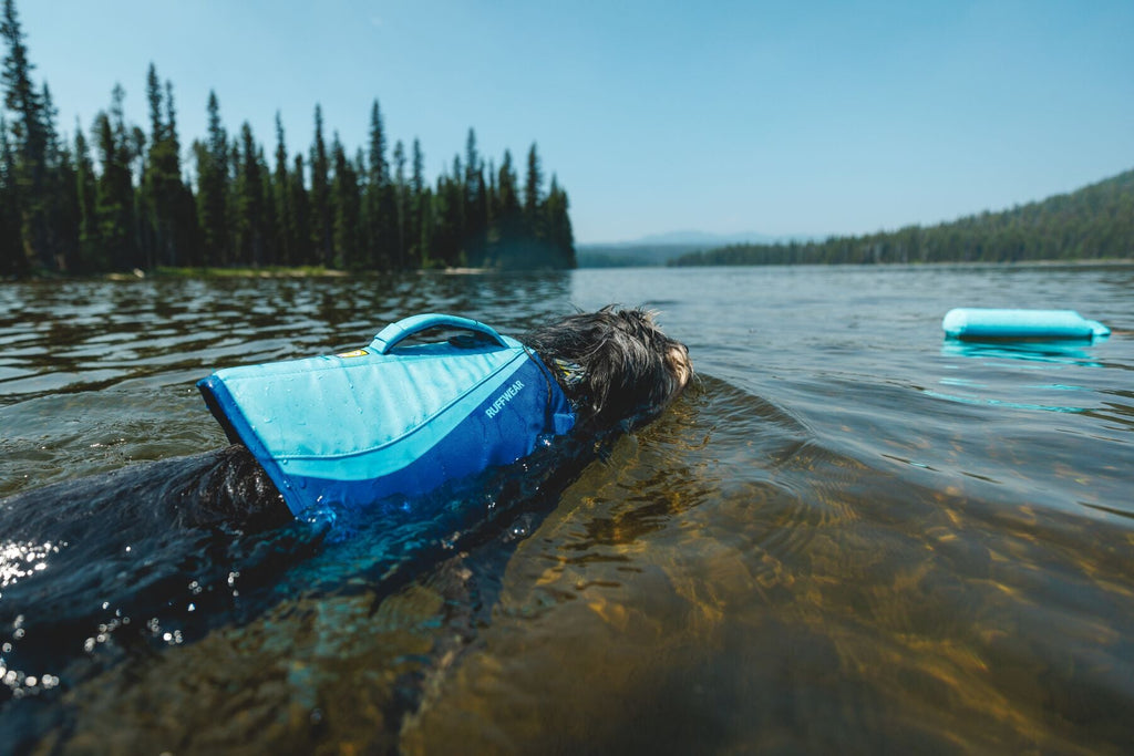 Life Jackets for Dogs
