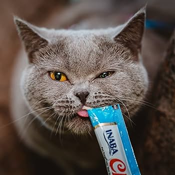 Cat Treat