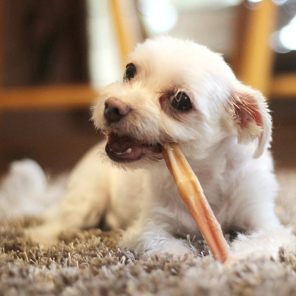 Tuesdays Dog Treats