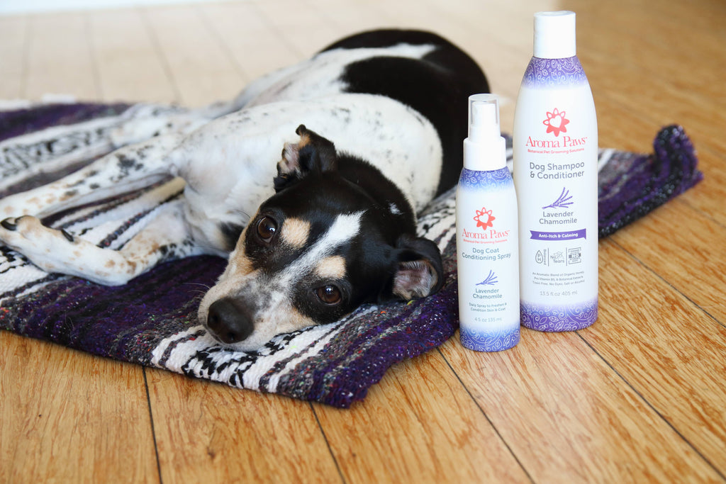Aroma Paws - 13.5 Oz. Shampoo Lavender Chamomile - Dog.Dog.Cat.