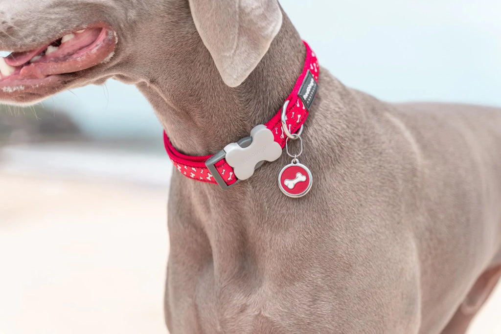 Red Dingo Tag Standard Styles - Enamel - All Styles - Dog.Dog.Cat.