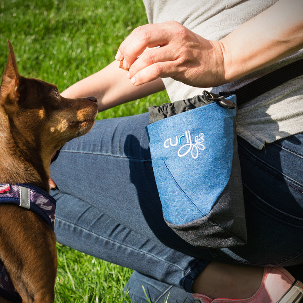 curli Treatbag V2 Everything under control with just one hand - Dog.Dog.Cat.