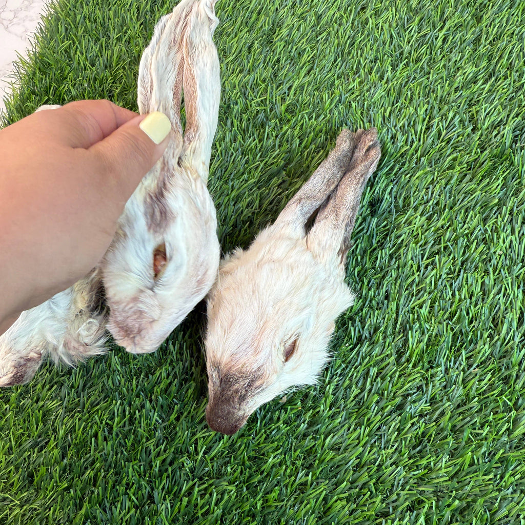 Golden Nibbles - Rabbit Head (Whole) - Dehydrated for Dogs - Dog.Dog.Cat.