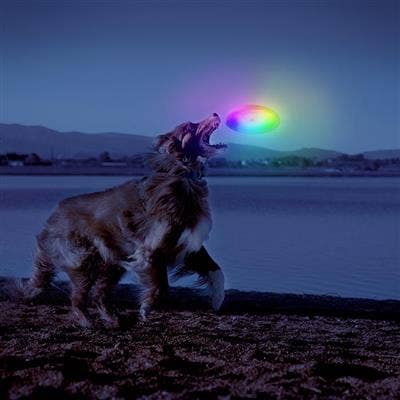 Nite Ize Flashflight Dog Discuit LED Flying Disc - Disc-O - Dog.Dog.Cat.