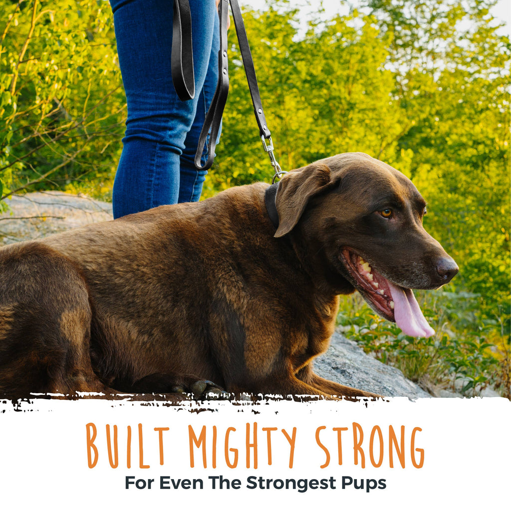 Mighty Paw - Leather Dog Leash (Distressed) - Dog.Dog.Cat.