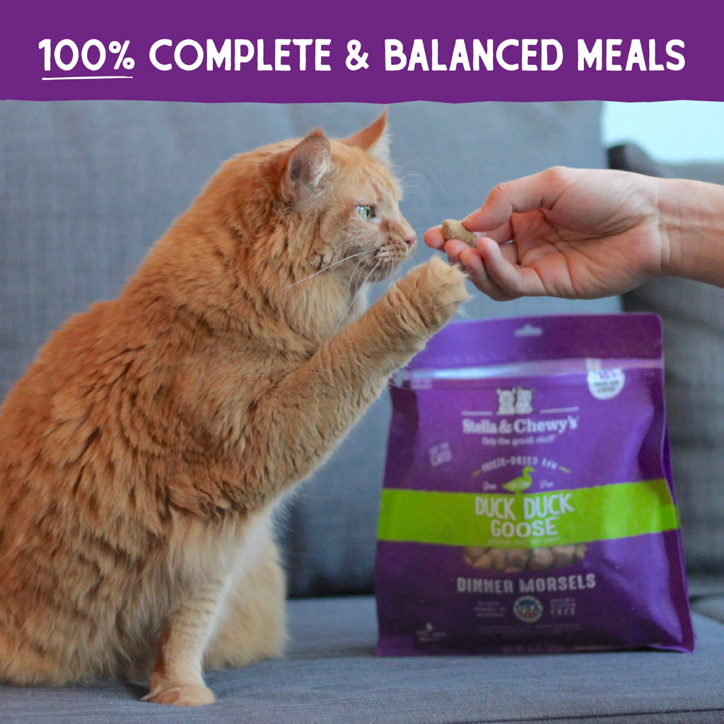 Stella & Chewy's Freeze-Dried Raw Cat Food - Duck Duck Goose - Dog.Dog.Cat.