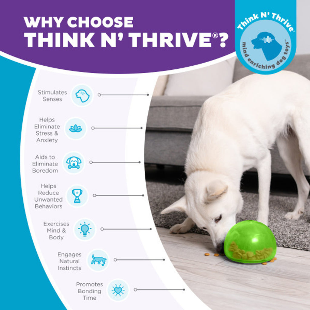 Outward Hound Orbee Tuff-Snoop Green - Dog.Dog.Cat.