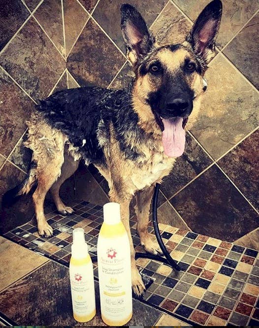 Aroma Paws - 4.5 Oz Repellent and Dog Coat Spray Collection - Dog.Dog.Cat.