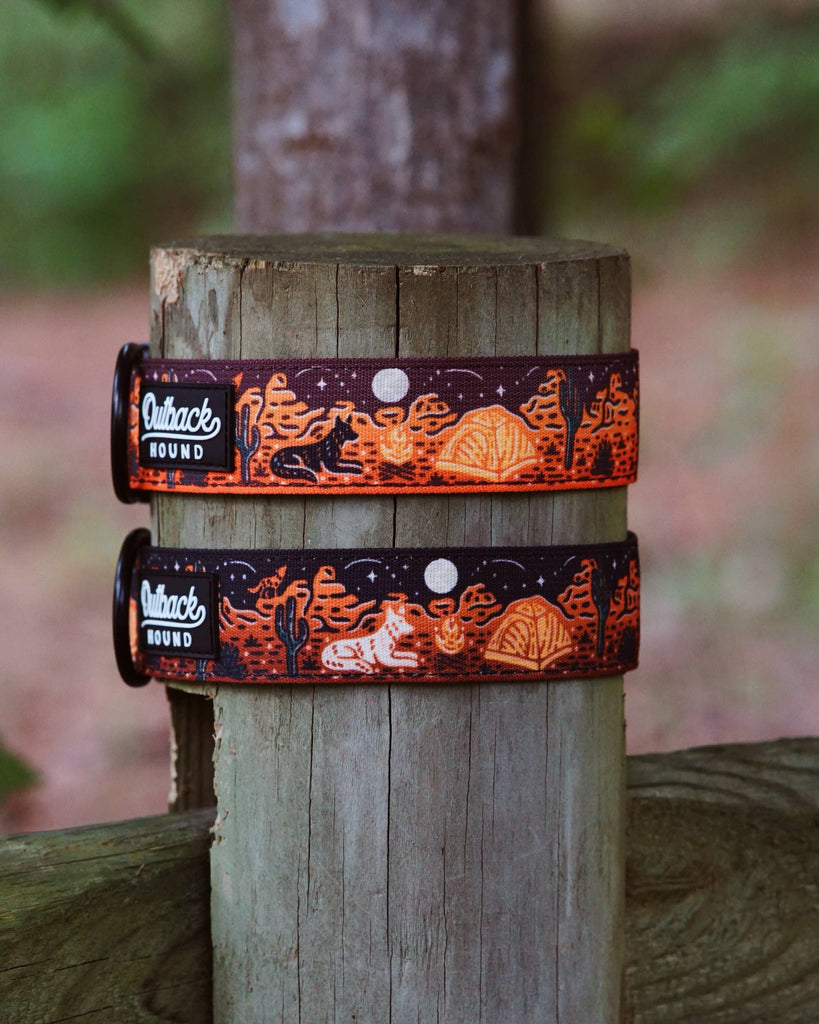 Desert Camp Out Dog Collar - Black - Dog.Dog.Cat.