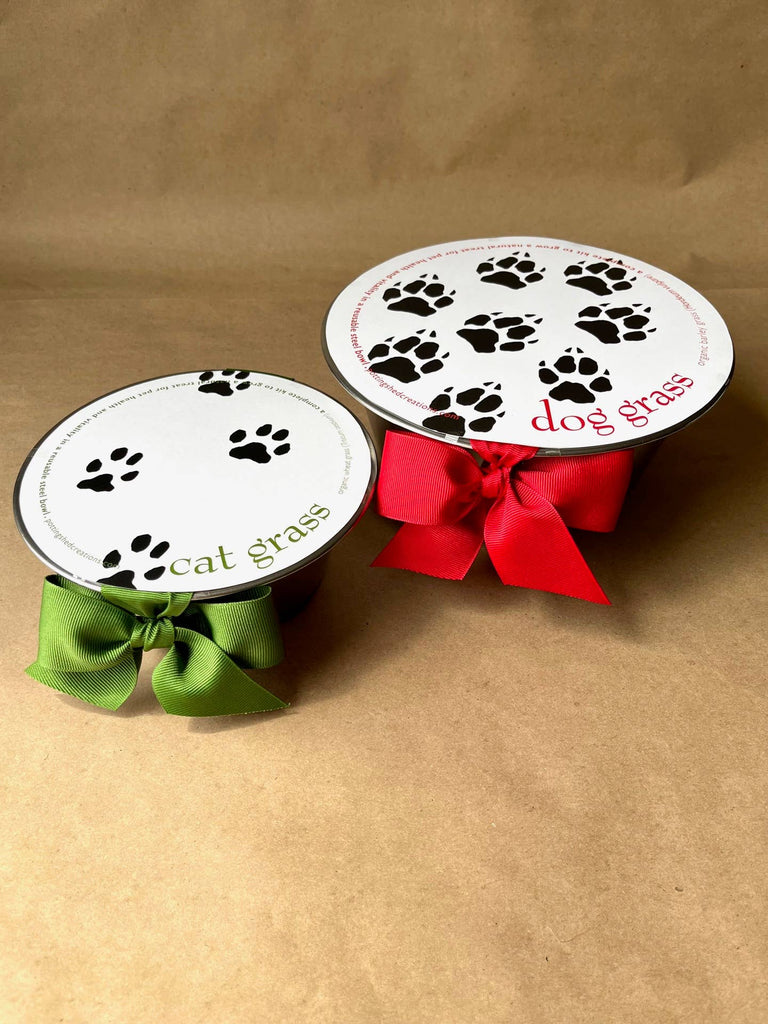 Potting Shed Creations, Ltd. - Pet Bowl | Cat Grass | NEW Christmas Gift idea - Dog.Dog.Cat.