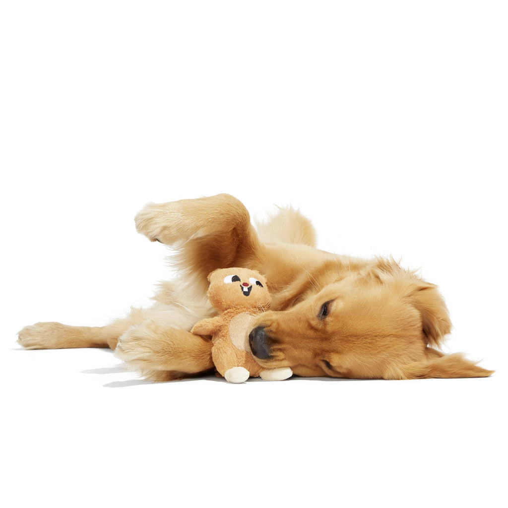 BARK Pearl Squirrel Plush Dog Toy - Dog.Dog.Cat.
