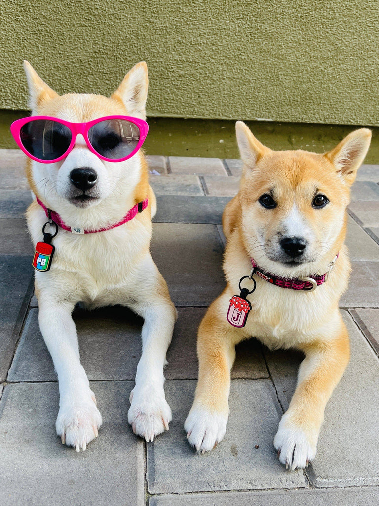 Besties Pets - PB&J BFF Silicone Pet ID Tag Set - Dog.Dog.Cat.