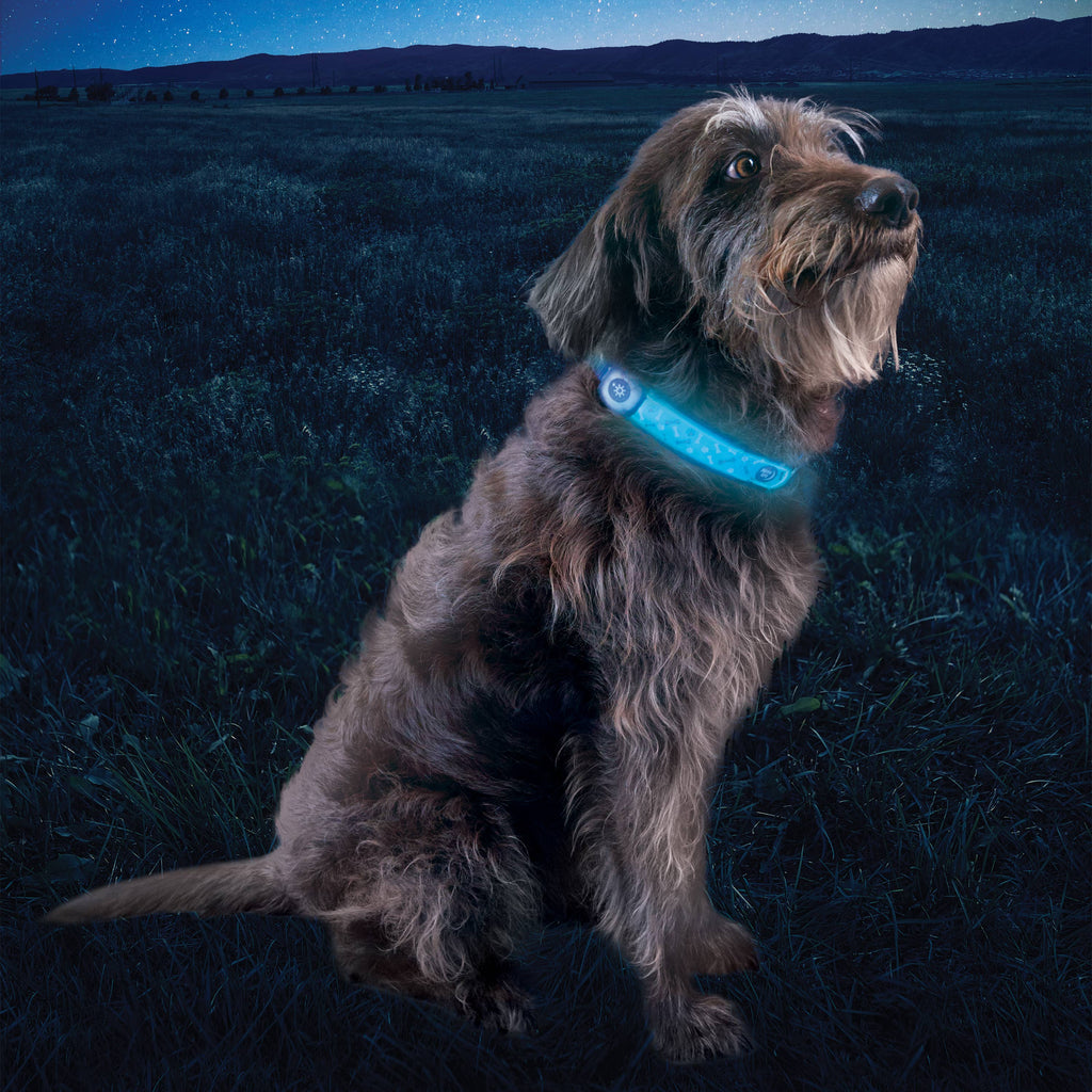 Nite Ize NiteDog Rechargeable LED Collar Cover Disc-O Select - Dog.Dog.Cat.