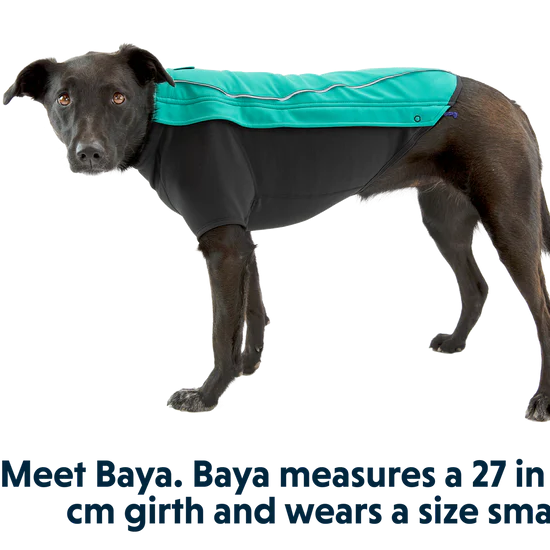 Ruffwear Cloud Chaser - Aurora Teal - Dog.Dog.Cat.