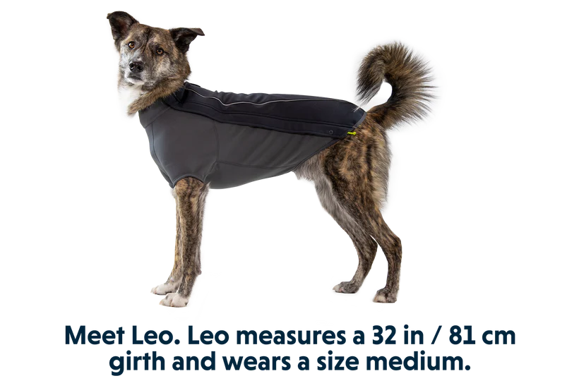 Ruffwear Cloud Chaser Dog Jacket - Dog.Dog.Cat.