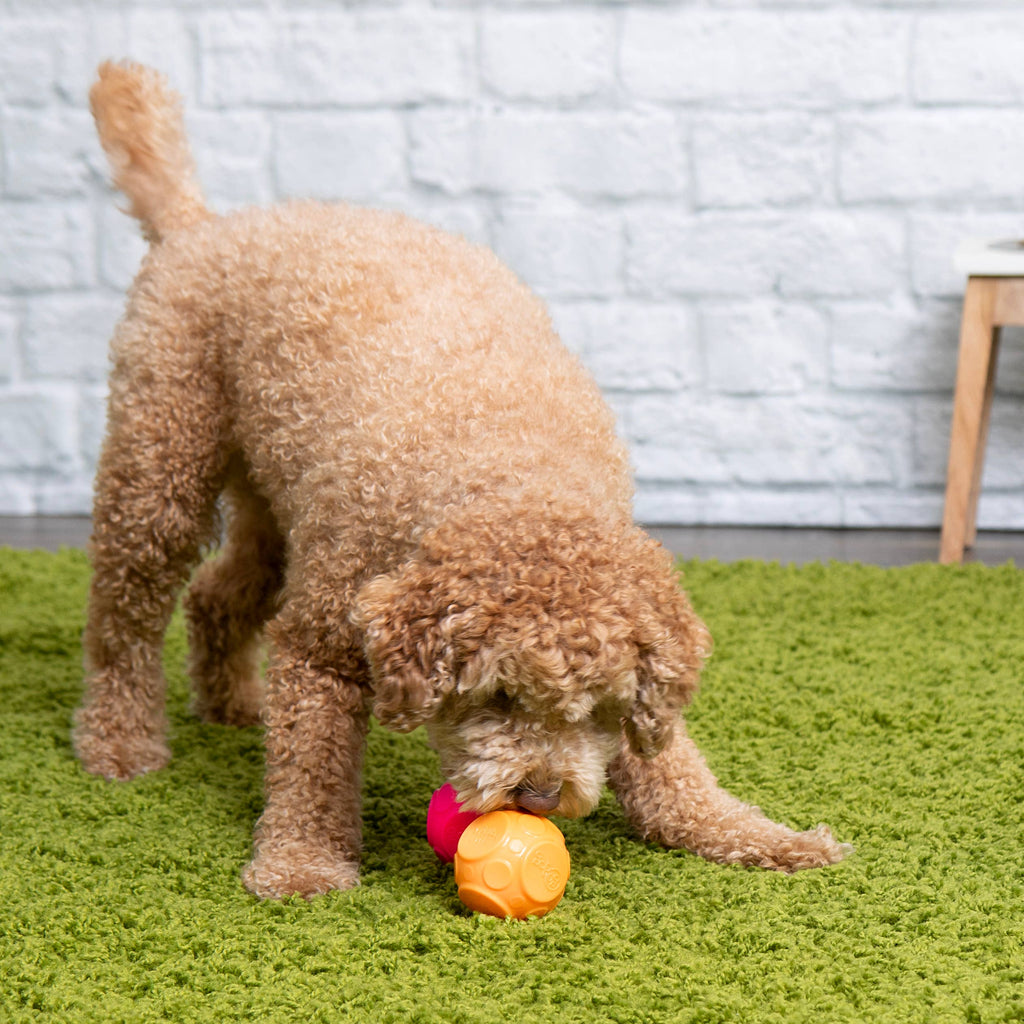 GoDog Silent Squeaker Ball Dog Toy 2pk - Dog.Dog.Cat.