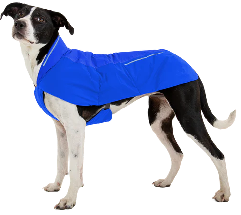 犬服・アクセサリー RUFFWEAR Insulated Jacket XXS Ruffwear Vert Dog Jacket - Insulated Winter Coat for Cold Weather