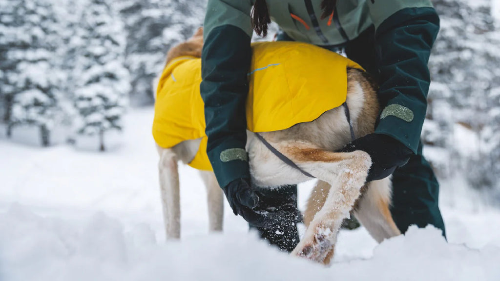 Ruffwear Vert™ Dog Jacket - Dog.Dog.Cat.