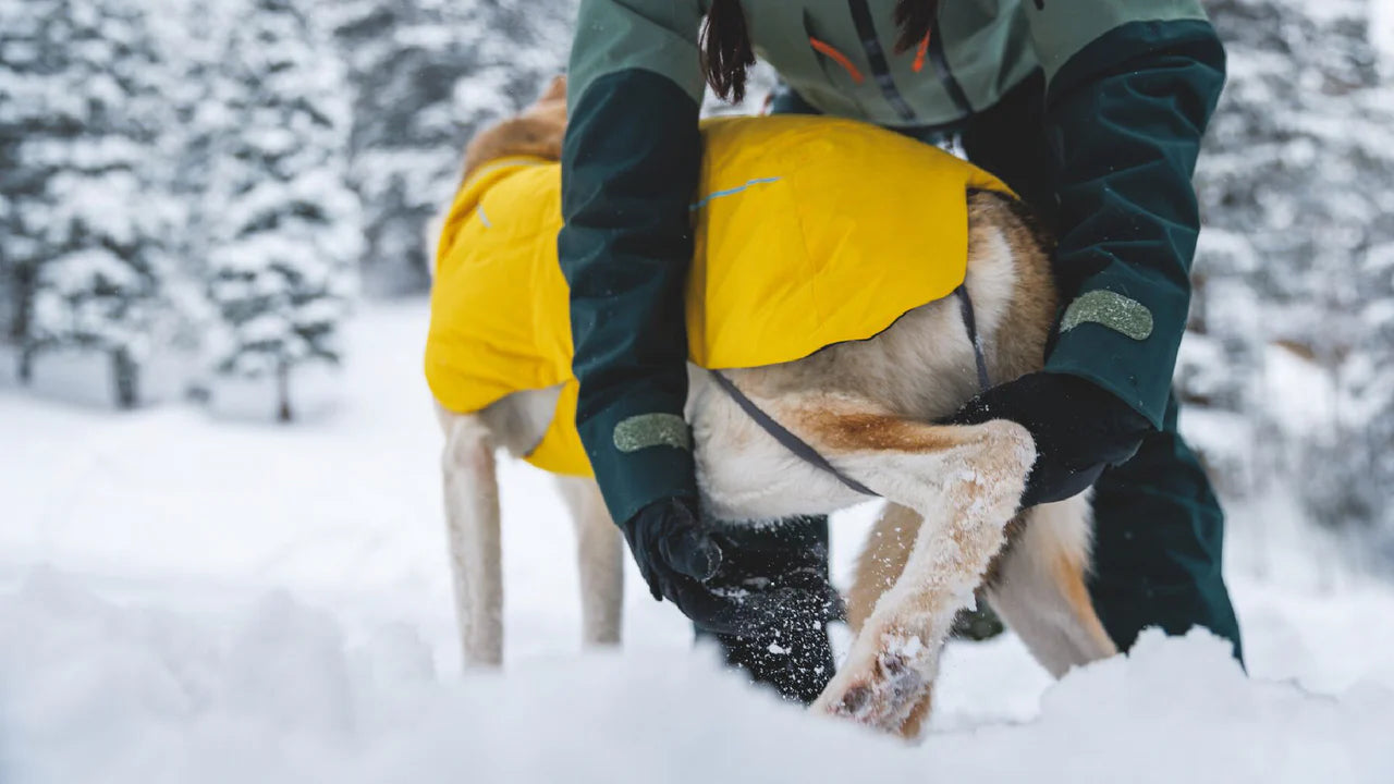 Ruffwear 製犬用クールジャケット及びDogDepot製防寒用セーター Ruffwear Vert™ Dog Jacket | Dog.Dog.Cat.