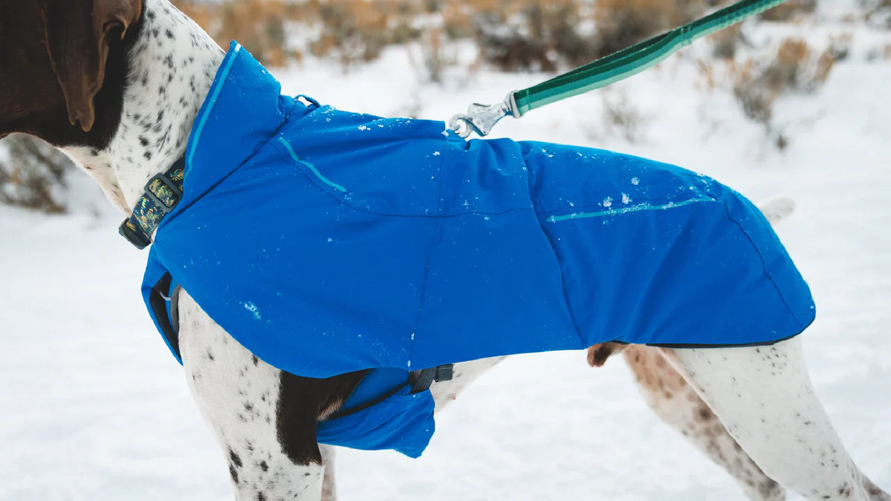 Ruffwear Vert Dog Jacket - Insulated Winter Coat for Cold Weather Ruffwear Vert Dog Jacket - Insulated Winter Coat for Cold Weather
