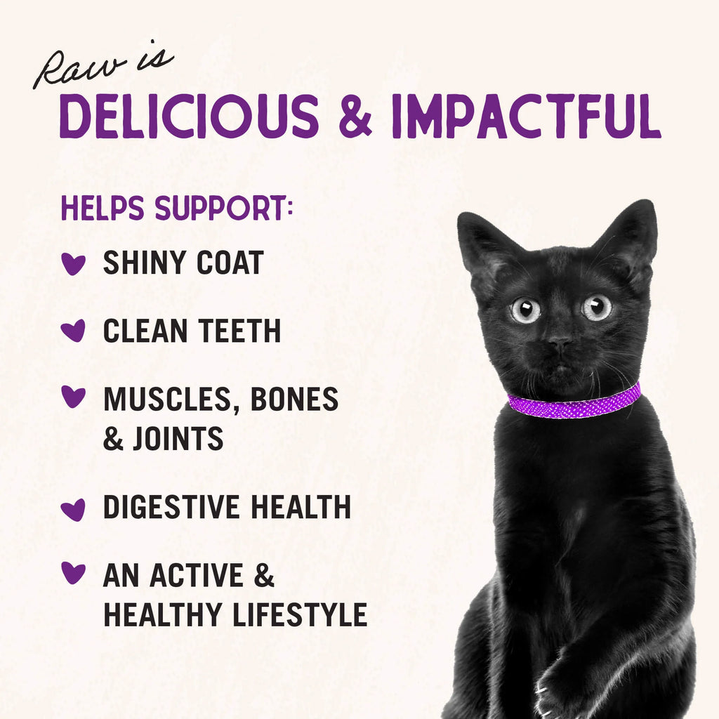 Stella & Chewy's Freeze-Dried Raw Cat Food - Duck Duck Goose - Dog.Dog.Cat.