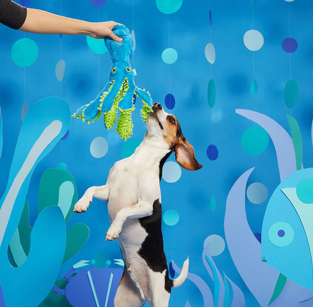 BARK Shifty Sid the Squid - Dog.Dog.Cat.