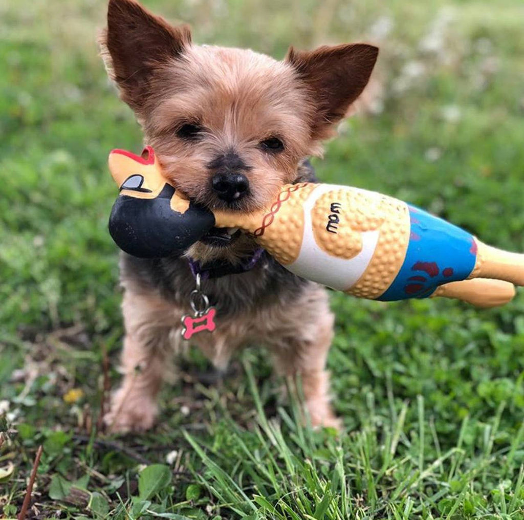 Outward Hound Earl - Large - Dog.Dog.Cat.