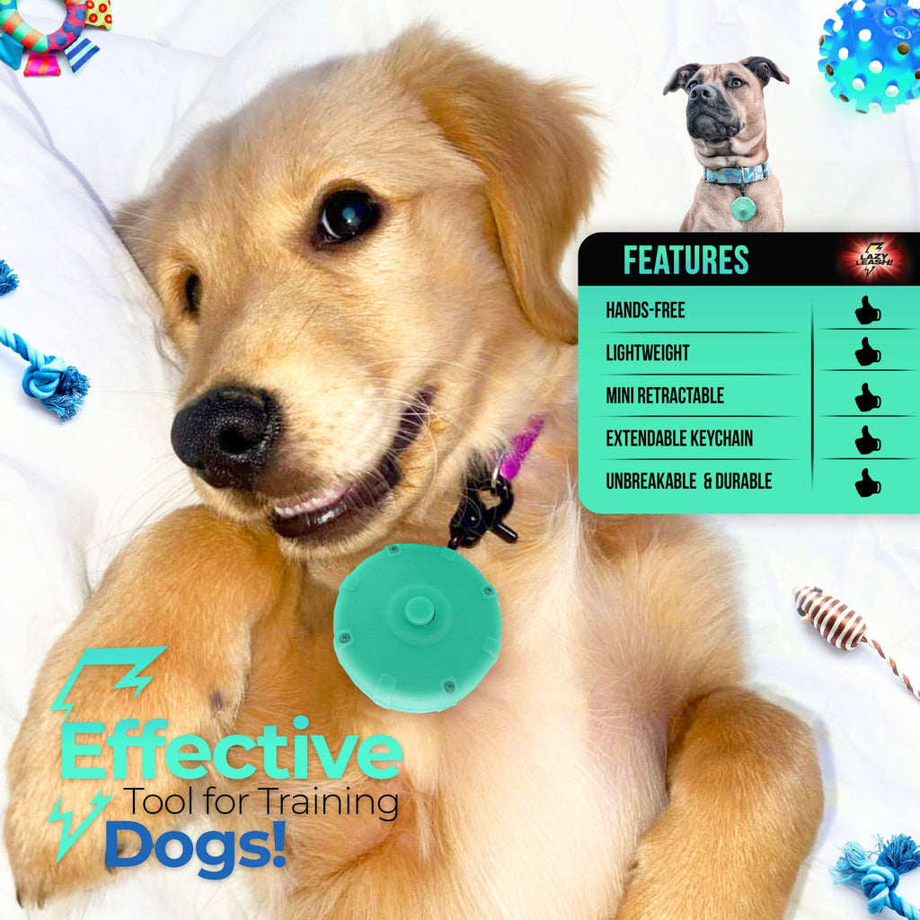 Lazy Leash! - NEW! Lazy Leash! (2pc) Hangers - Pink, Aqua, Gray + Black - Dog.Dog.Cat.