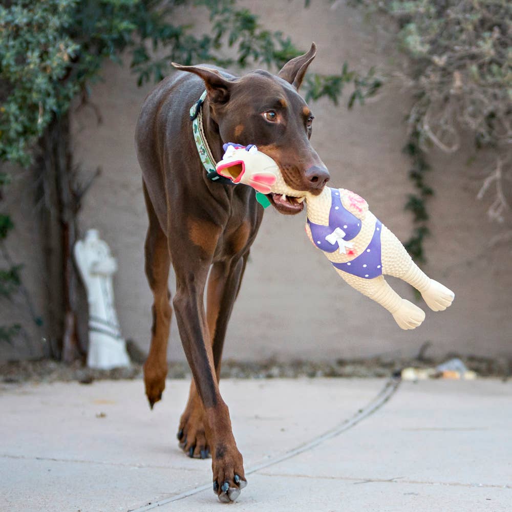 Henrietta - Large - Dog.Dog.Cat.