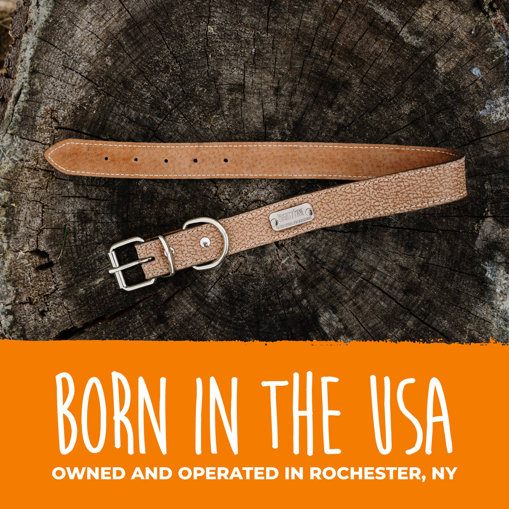 Mighty Paw - Leather Dog Collar - Distressed - Dog.Dog.Cat.