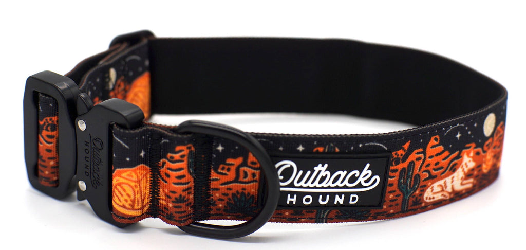 Desert Camp Out Dog Collar - Black - Dog.Dog.Cat.