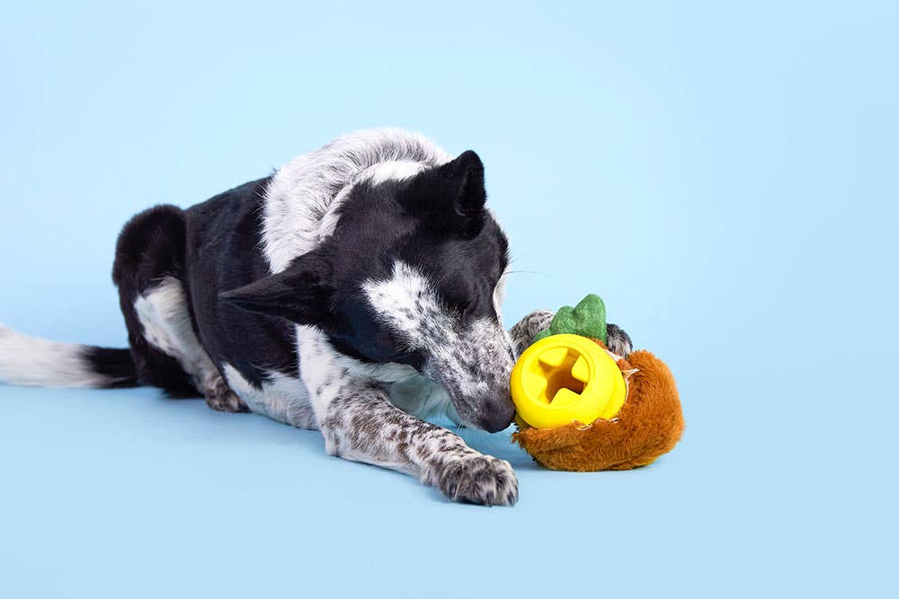 BARK Fowl Play - Dog.Dog.Cat.