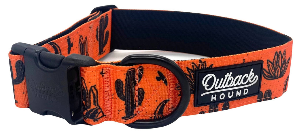 Orange Agave Dog Collar - Dog.Dog.Cat.