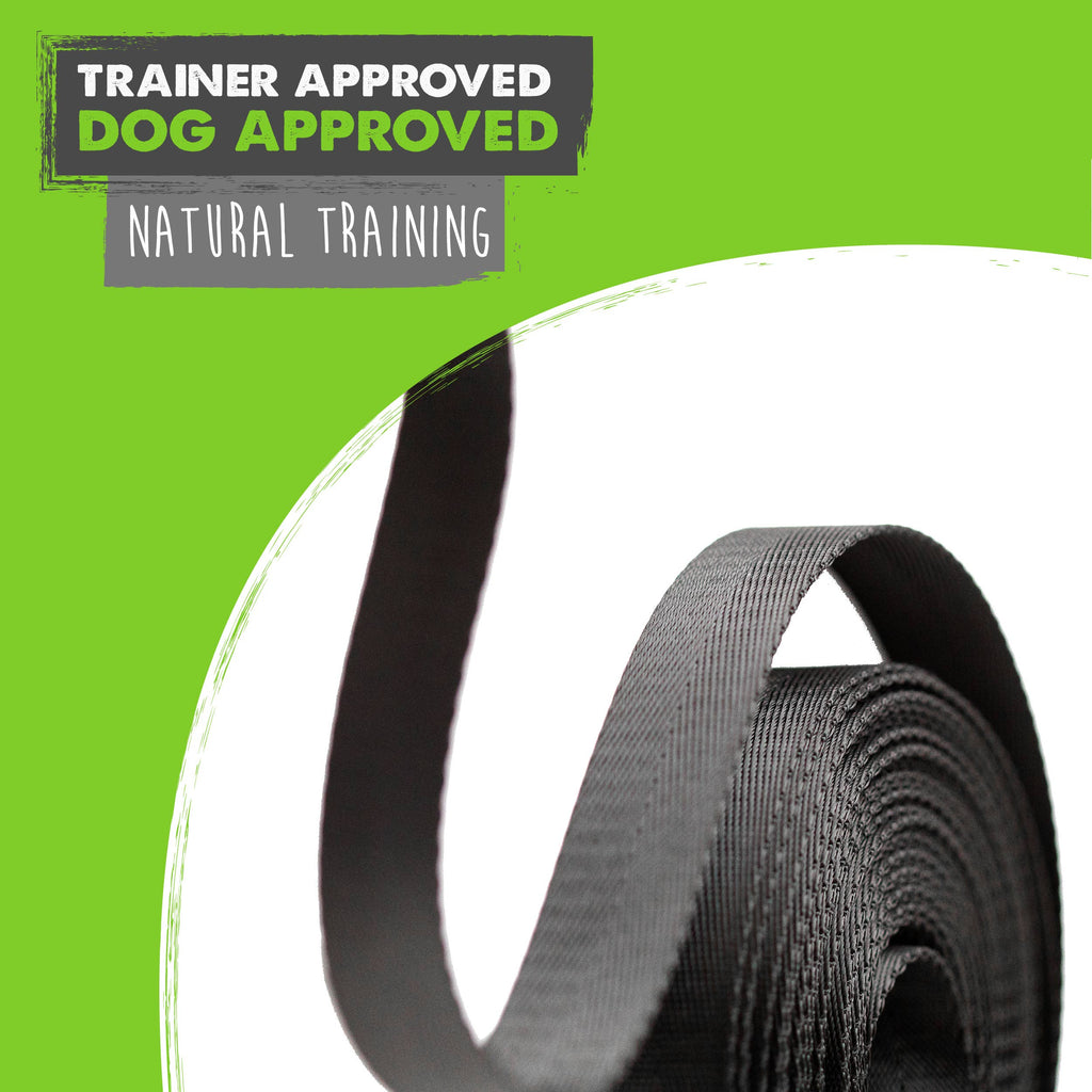 Mighty Paw - Long Dog Leash - Dog.Dog.Cat.