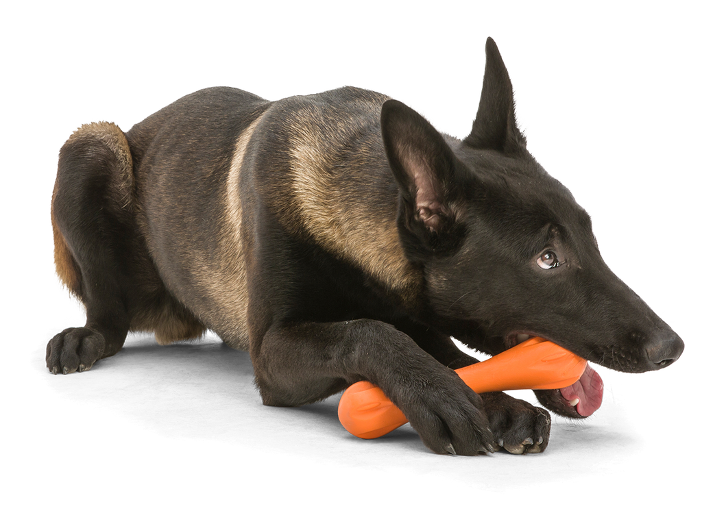 West Paw - Hurley® Dog Toy for Chew, and Fetch - Dog.Dog.Cat.