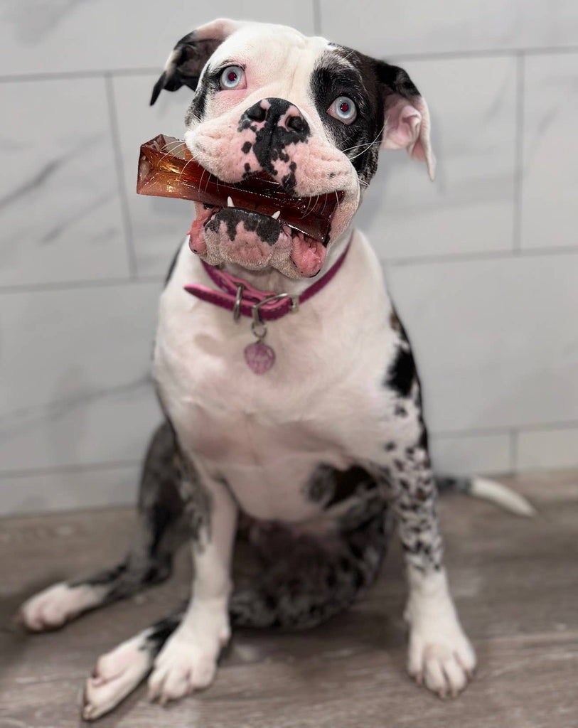 Mighty Marrows Collagen Dental Chew - Bacon - SM/LG - Dog.Dog.Cat.