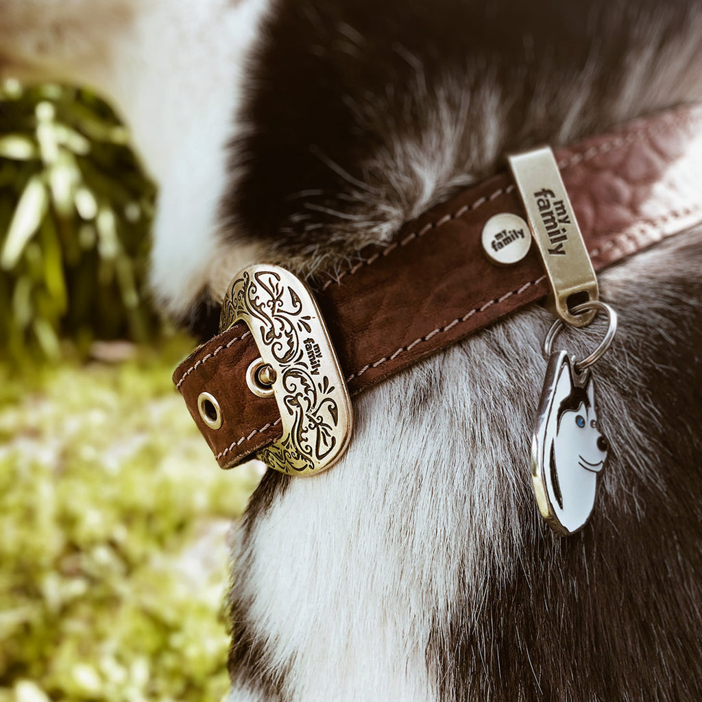 Friends Black and White Husky ID Tag - MyFamily - Dog.Dog.Cat.