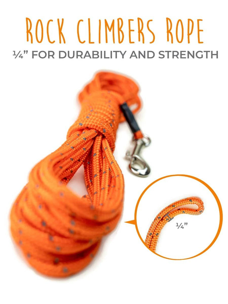 Mighty Paw - 30' Check Cord - Dog.Dog.Cat.