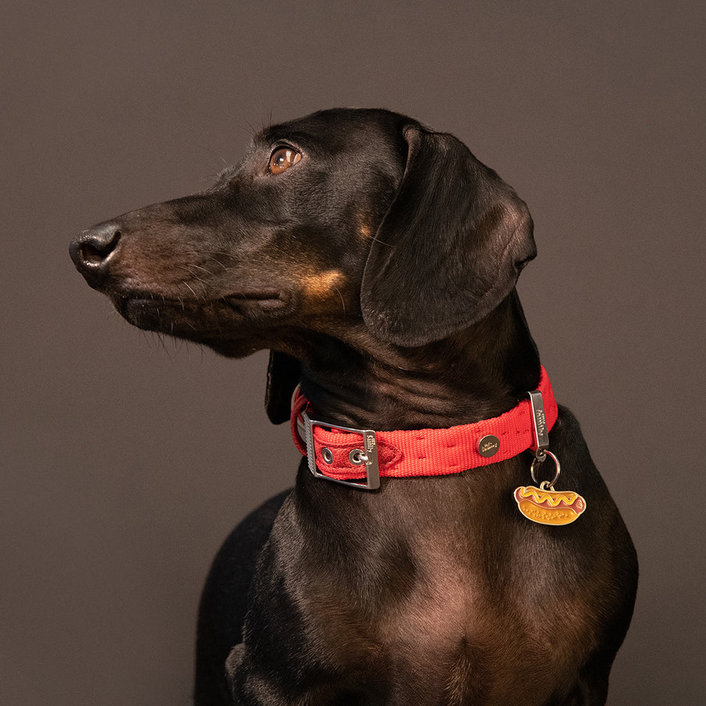 Food Hot-Dog ID Tag - MyFamily - Dog.Dog.Cat.