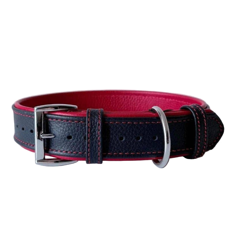 Premium Padded Floater Leather Dog Collar | Navy Blue & Red - Dog.Dog.Cat.