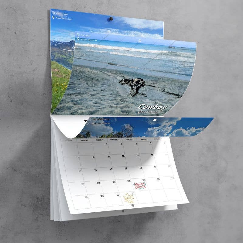 ShutUpAndTakeMyMoney - Dogs Pooping in Beautiful Places™ 2025 Calendar - Gag Gift - Dog.Dog.Cat.