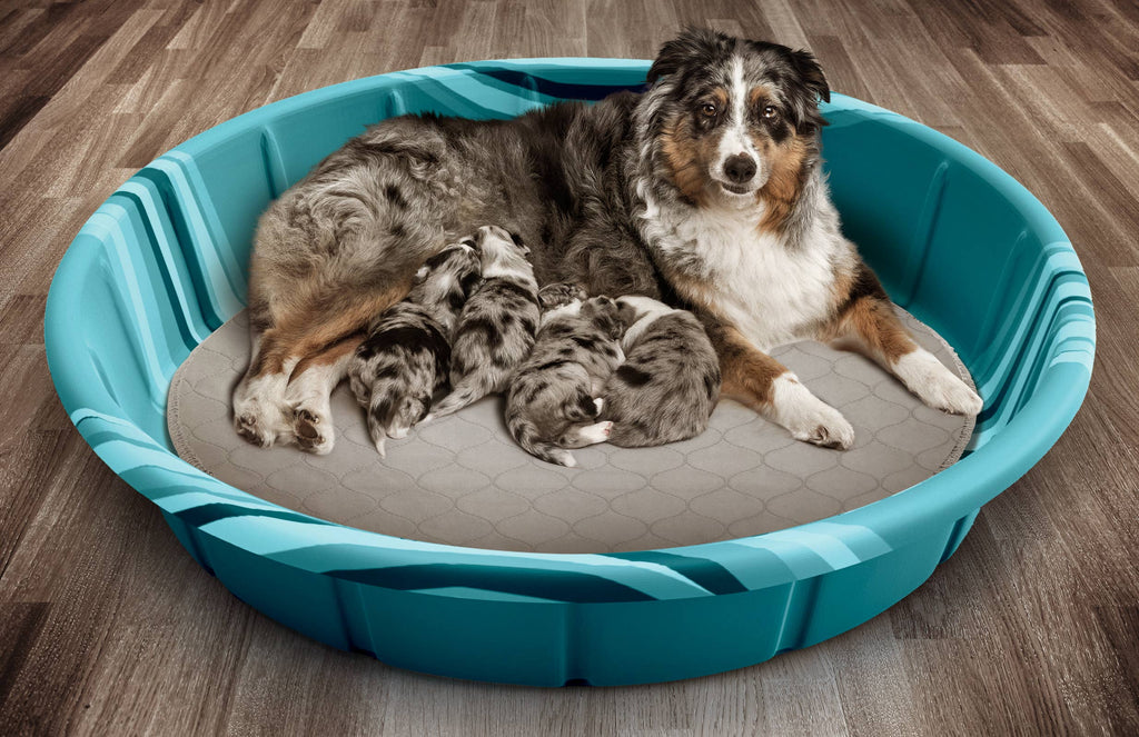 Pet Parents® - Round Pawtect® Pads, Premium Washable Dog Pee Pads - Dog.Dog.Cat.