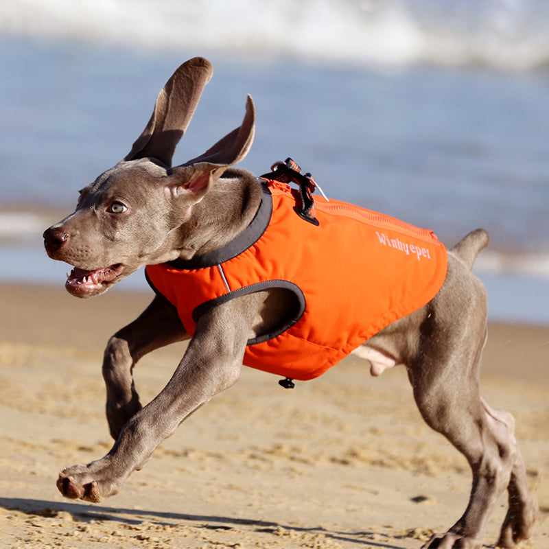 Premium Waterproof Winter Dog Coat YG1871 - Dog.Dog.Cat.