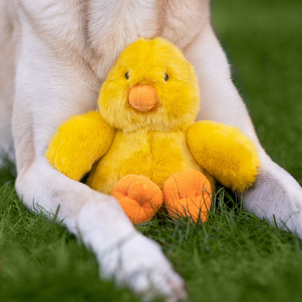 Fluff and Tuff Dog Toy-Howie Duck : 7" - Dog.Dog.Cat.